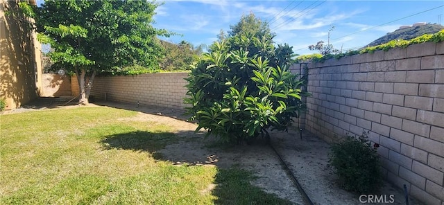 view of yard featuring a fenced backyard