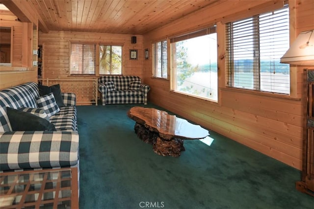 living area with wood walls, carpet floors, and wooden ceiling