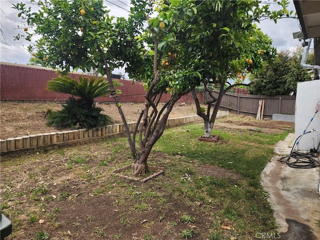18214 Los Palacios Dr, Rowland Heights, CA 91748 - view of yard with a fenced backyard