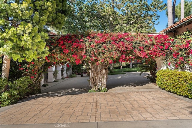 1875 La Cuesta, North Tustin, CA 92705 - photo 6