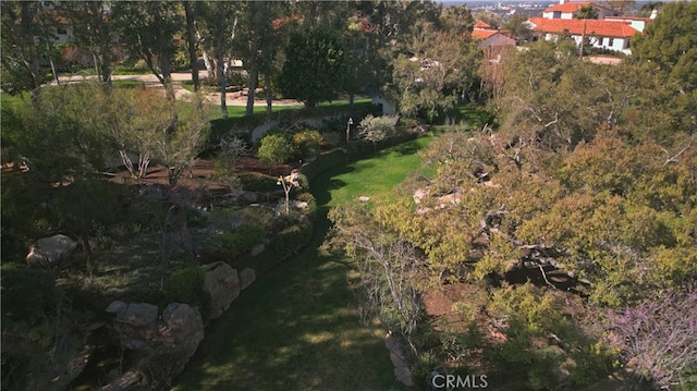 1875 La Cuesta, North Tustin, CA 92705 - photo 17