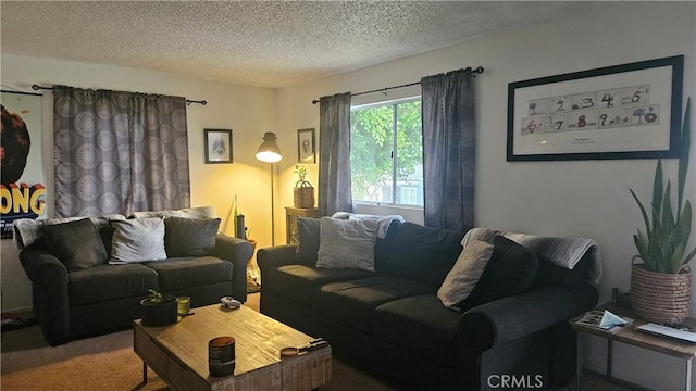 living area featuring a textured ceiling and carpet