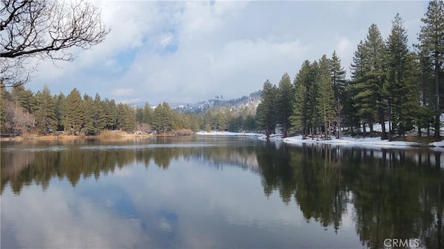 32991 Canyon Dr, Green Valley Lake, CA 92341 - view of water feature featuring a wooded view