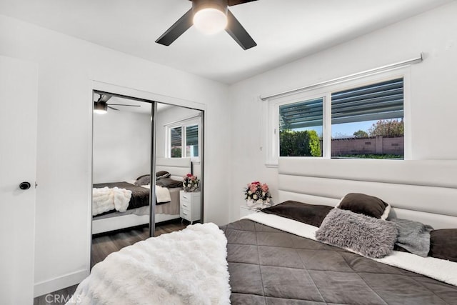 bedroom featuring multiple windows, a closet, wood finished floors, and a ceiling fan