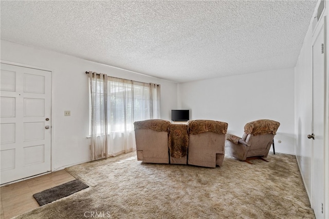 living room featuring a textured ceiling and carpet flooring