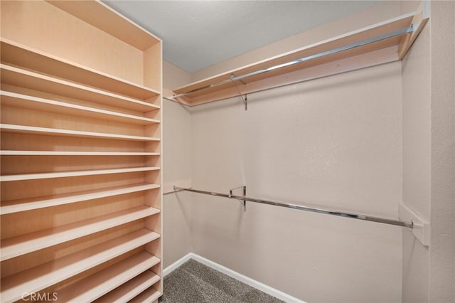 9334 Shamouti Dr, Riverside, CA 92508 - spacious closet featuring carpet flooring