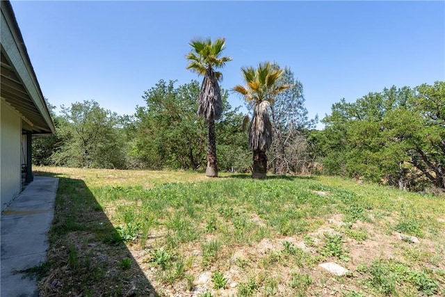 9553 Durango Rd, Atascadero, CA 93422 - view of yard with a wooded view