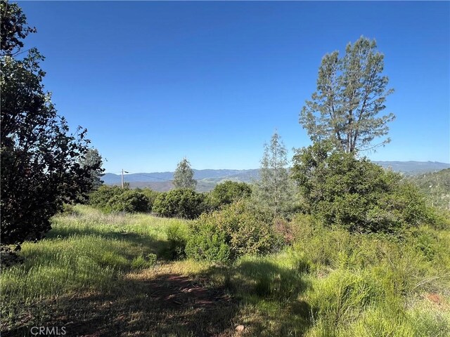 19600 Nicholas Ln, Middletown, CA 95461