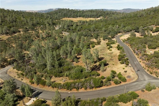 19600 Nicholas Ln, Middletown, CA 95461