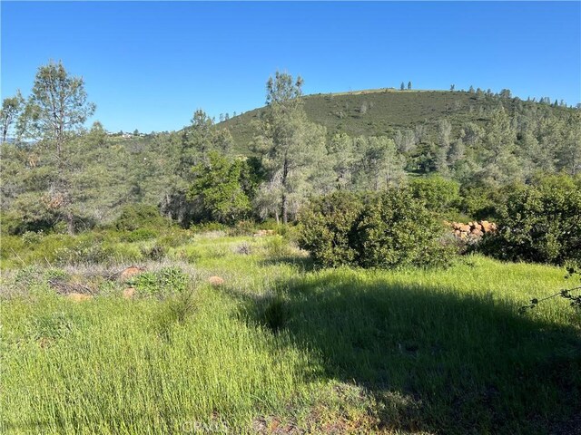 19600 Nicholas Ln, Middletown, CA 95461