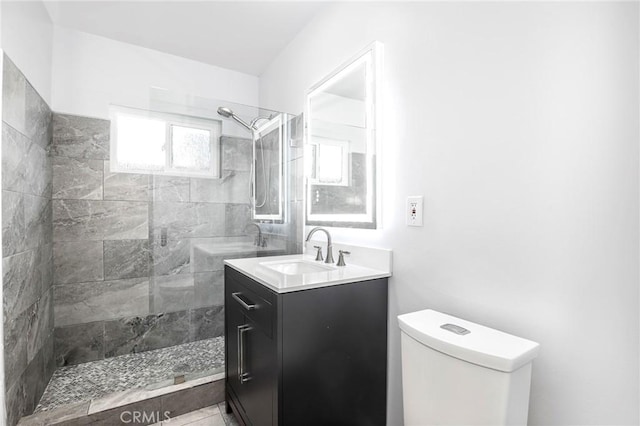 bathroom featuring a shower stall, toilet, and vanity