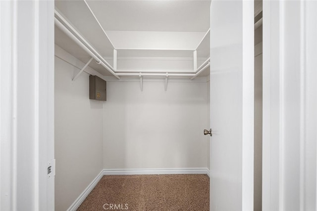 4200 Avenida Sevilla, Cypress, CA 90630 - walk in closet featuring carpet floors