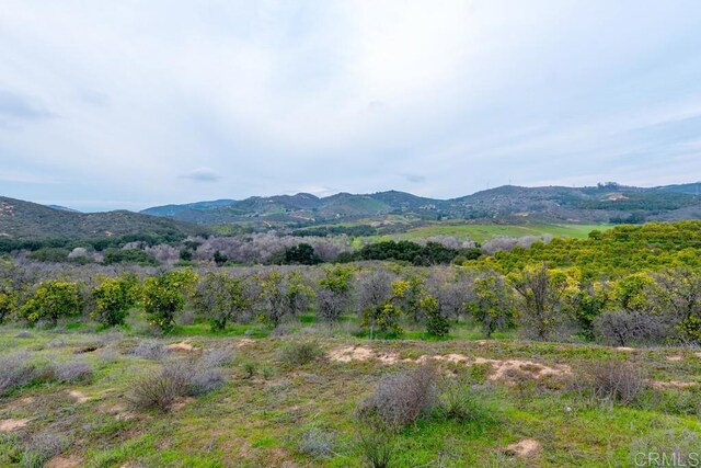 LOT22 Patrick Way, Valley Center, CA 92082 - photo 4