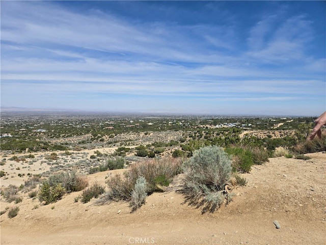 10160 Pineview Rd, Pinon Hills, CA 92372 - photo 61