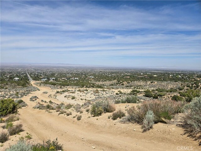 10160 Pineview Rd, Pinon Hills, CA 92372 - photo 62