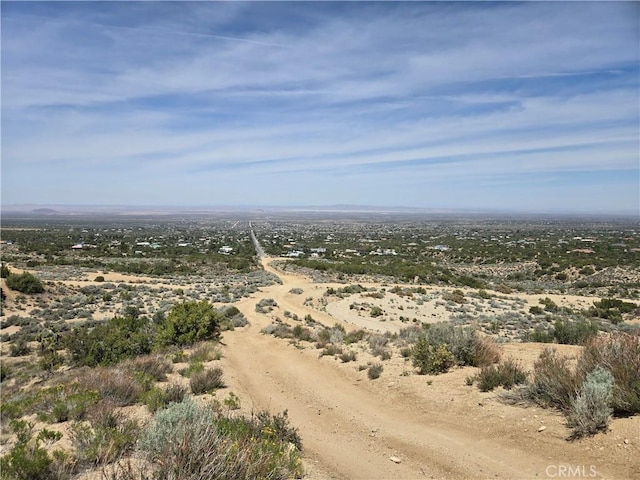 10160 Pineview Rd, Pinon Hills, CA 92372 - photo 60
