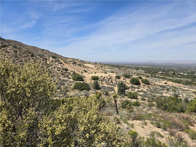 10160 Pineview Rd, Pinon Hills, CA 92372 - photo 63