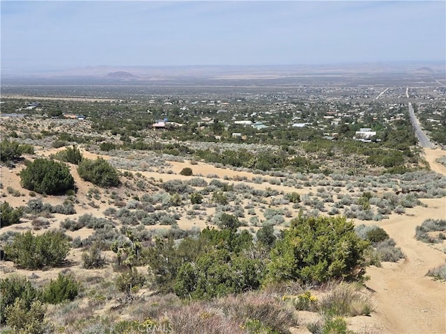 10160 Pineview Rd, Pinon Hills, CA 92372 - photo 66