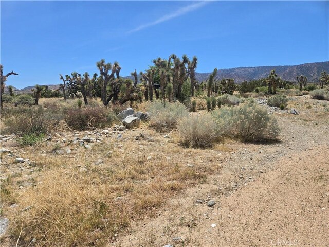 10160 Pineview Rd, Pinon Hills, CA 92372 - photo 55