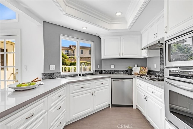 kitchen featuring crown molding, a sink, a raised ceiling, stainless steel appliances, and white cabinetry