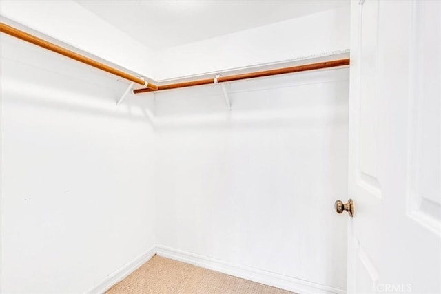 walk in closet featuring light carpet