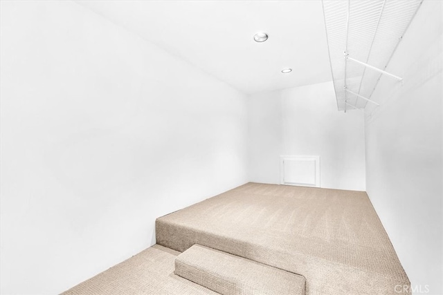 walk in closet with carpet flooring