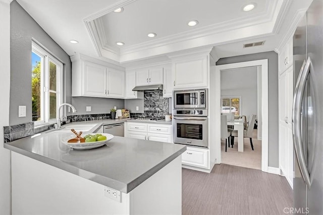 kitchen featuring visible vents, under cabinet range hood, a tray ceiling, a sink, and appliances with stainless steel finishes
