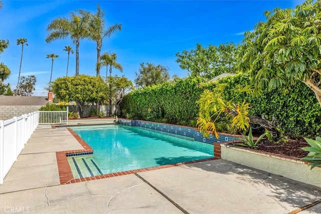 view of swimming pool with a fenced in pool, a fenced backyard, and a patio area