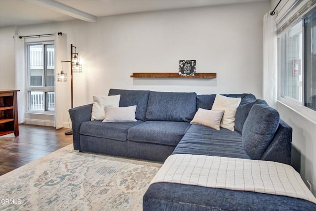 living room featuring wood finished floors