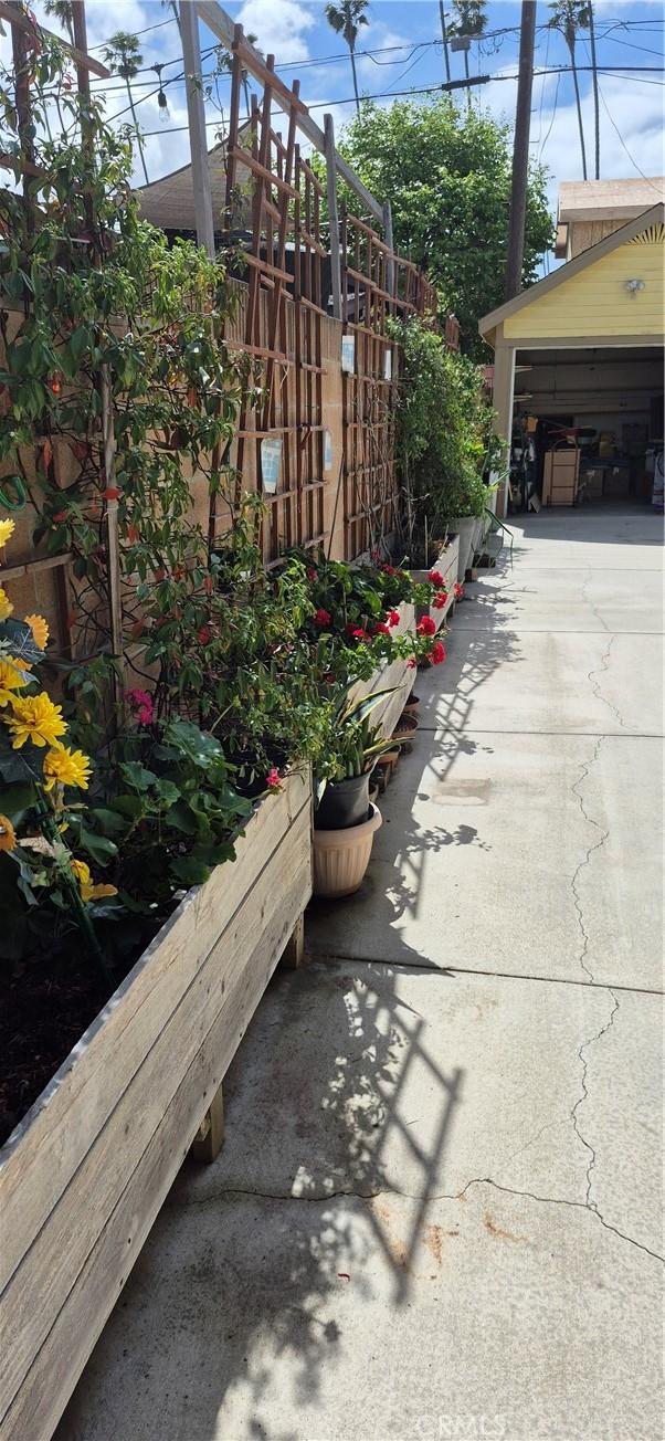 4911 S Wilton Pl, Los Angeles, CA 90062 - view of patio