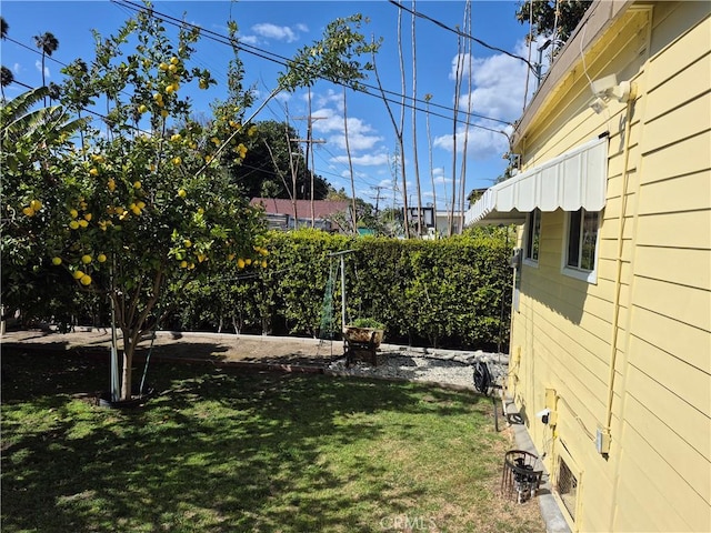 4911 S Wilton Pl, Los Angeles, CA 90062 - view of yard