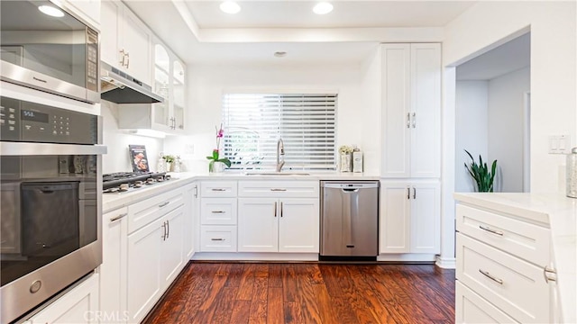 kitchen featuring dark wood-style floors, light countertops, under cabinet range hood, a sink, and appliances with stainless steel finishes