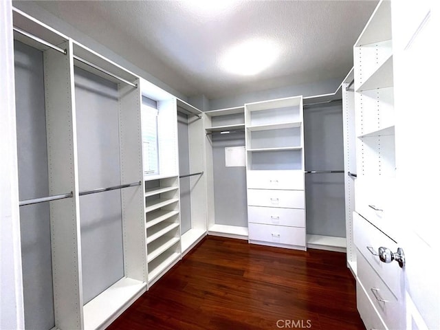 31556 Umbria Ln, Winchester, CA 92596 - walk in closet with dark wood-style floors