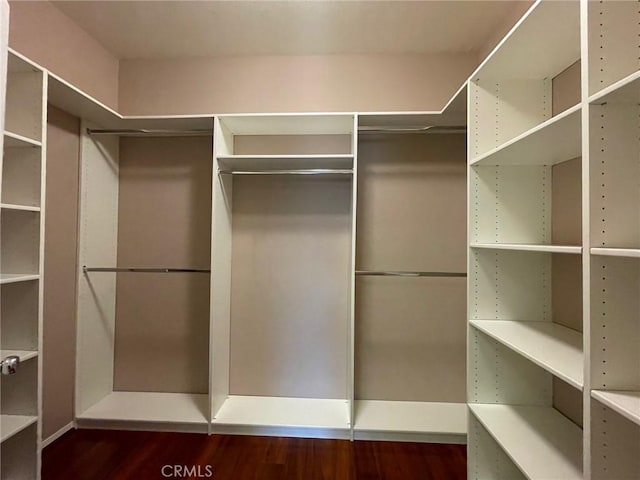 31556 Umbria Ln, Winchester, CA 92596 - spacious closet featuring wood finished floors