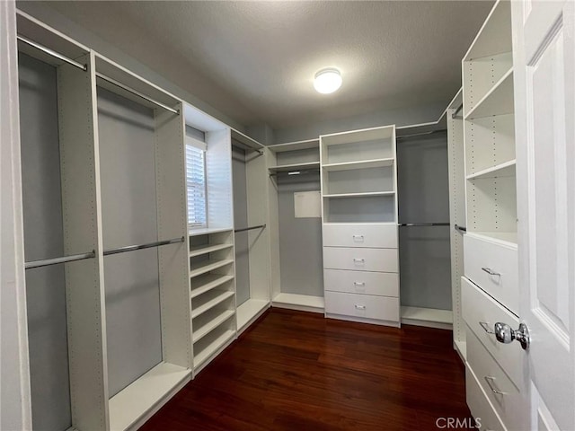 31556 Umbria Ln, Winchester, CA 92596 - spacious closet with dark wood-style flooring