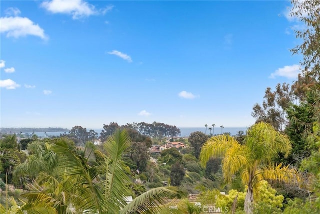 33046 Ocean Rdg, Dana Point, CA 92629 - view of local wilderness