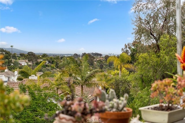 33046 Ocean Rdg, Dana Point, CA 92629 - drone / aerial view with a mountain view