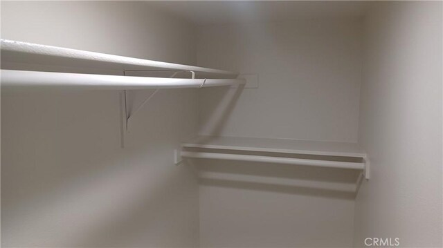 5183 Peony Ct, Riverside, CA 92506 - view of walk in closet