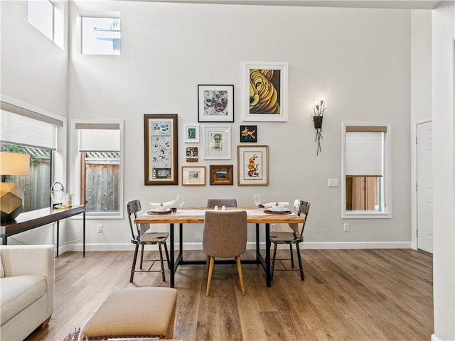 dining space featuring a healthy amount of sunlight, baseboards, and wood finished floors