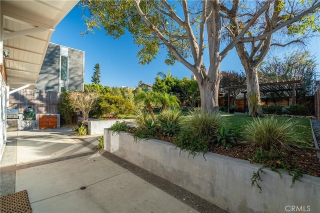 view of yard featuring a patio area