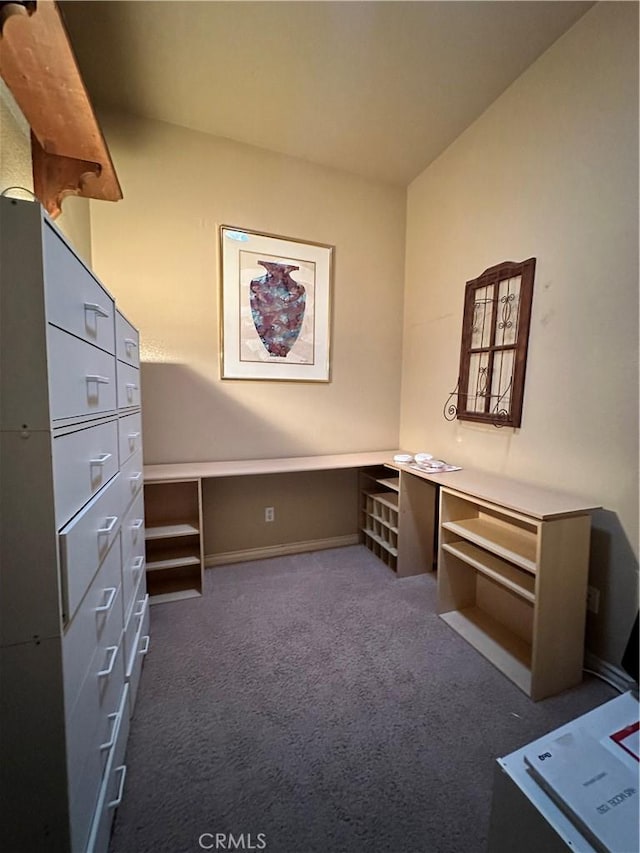 unfurnished office featuring carpet