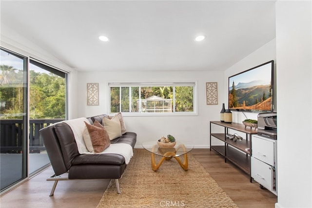 living area featuring light wood finished floors, recessed lighting, and a healthy amount of sunlight