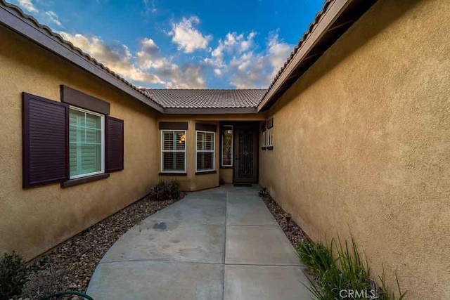 doorway to property featuring a patio and stucco siding