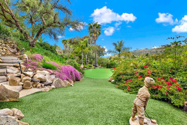 1710 Via Allondra, San Marcos, CA 92078 - view of yard
