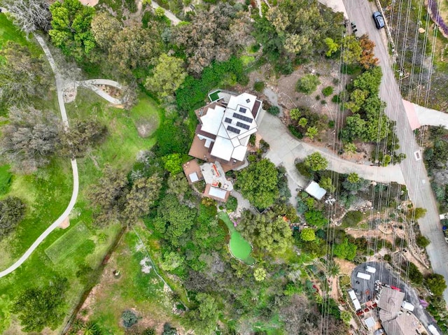 1710 Via Allondra, San Marcos, CA 92078 - drone / aerial view