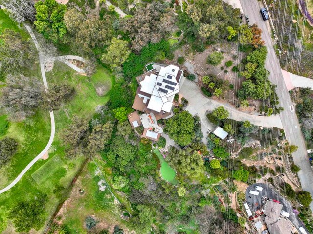 1710 Via Allondra, San Marcos, CA 92078 - drone / aerial view