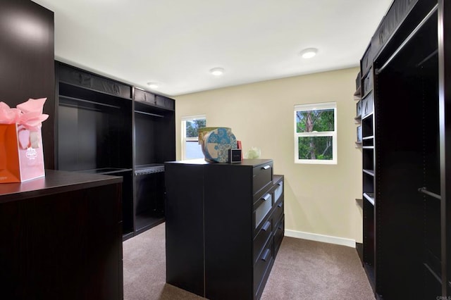1710 Via Allondra, San Marcos, CA 92078 - spacious closet with dark colored carpet