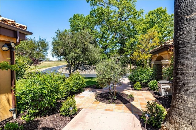1015 Wild Oats Way, Templeton, CA 93465 - view of yard