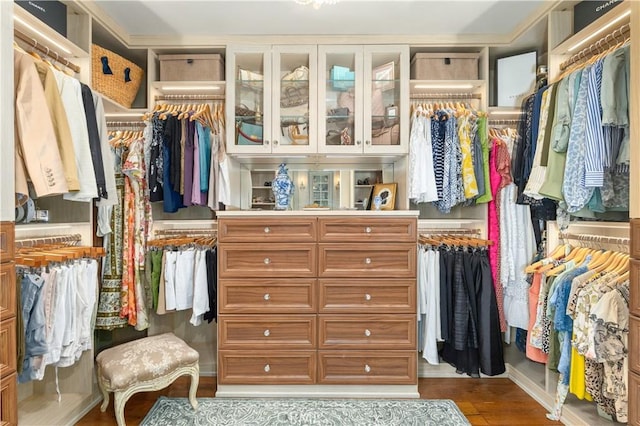 1015 Wild Oats Way, Templeton, CA 93465 - walk in closet featuring wood finished floors