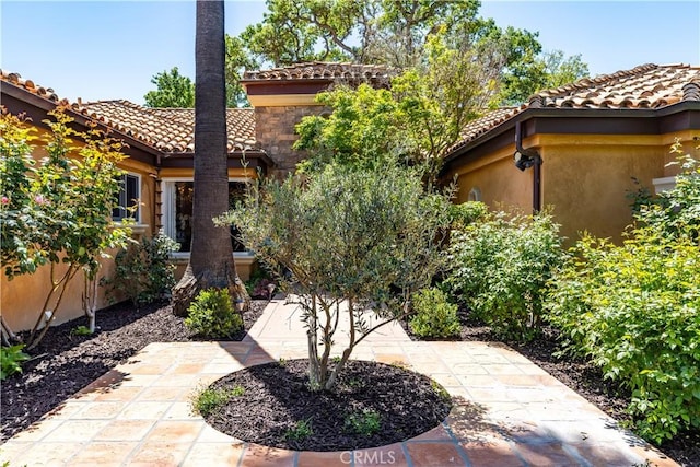 1015 Wild Oats Way, Templeton, CA 93465 - exterior space with stucco siding and a tile roof
